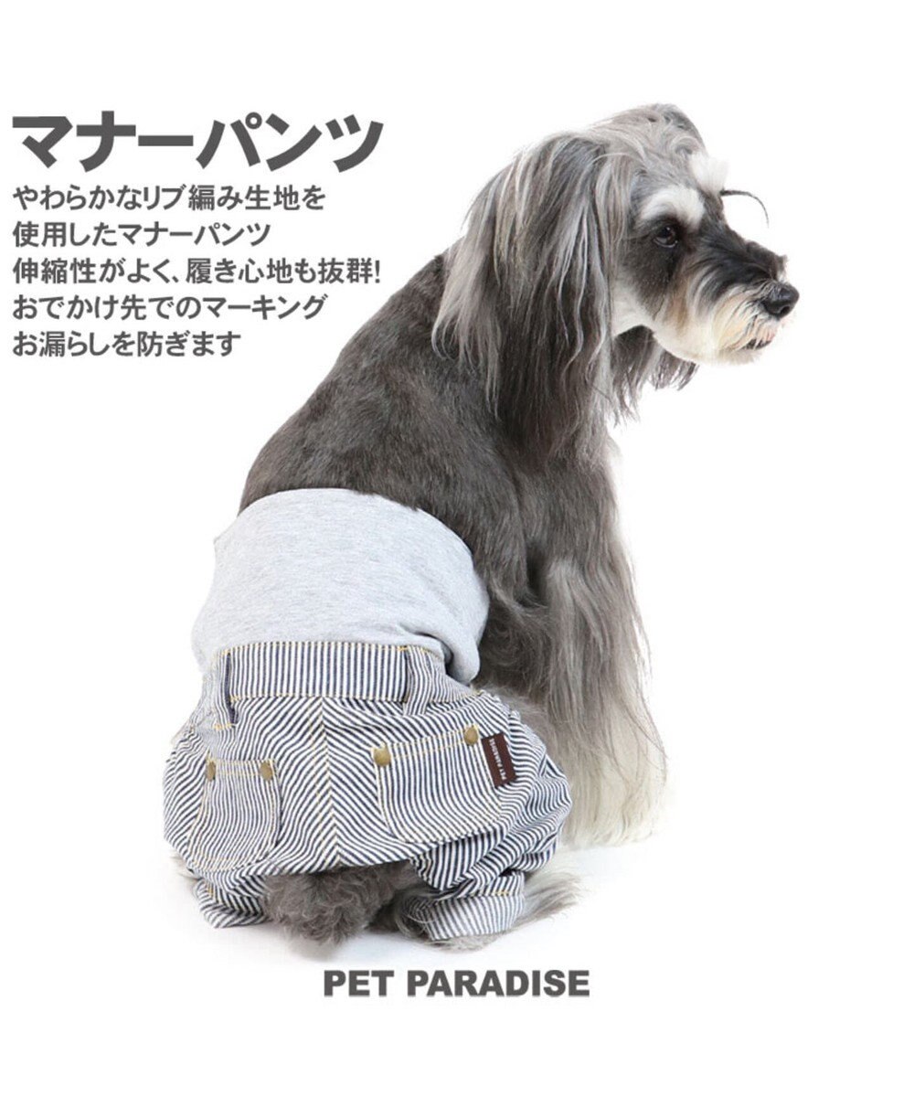 ペットパラダイス ヒッコリー マナーパンツ 超小型 小型犬 Pet Paradise ファッション通販 公式通販 オンワード クローゼット