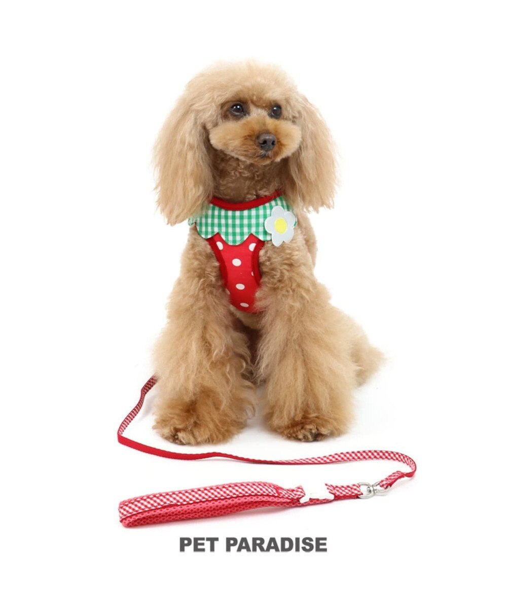 ペットパラダイス 反射 苺柄 ハーネスリード S 小型犬 Pet Paradise ファッション通販 公式通販 オンワード クローゼット