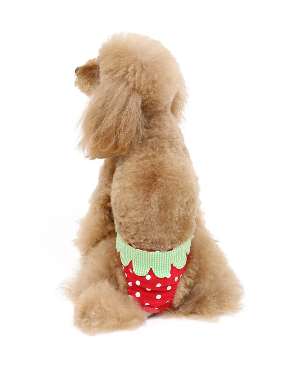 ペットパラダイス 苺 サニタリーパンツ 超小型 小型犬 Pet Paradise ファッション通販 公式通販 オンワード クローゼット