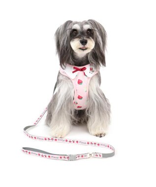 ミ二ーマウス 苺総柄 ハーネスリード ペットss 小型犬 Pet Paradise ファッション通販 公式通販 オンワード クローゼット