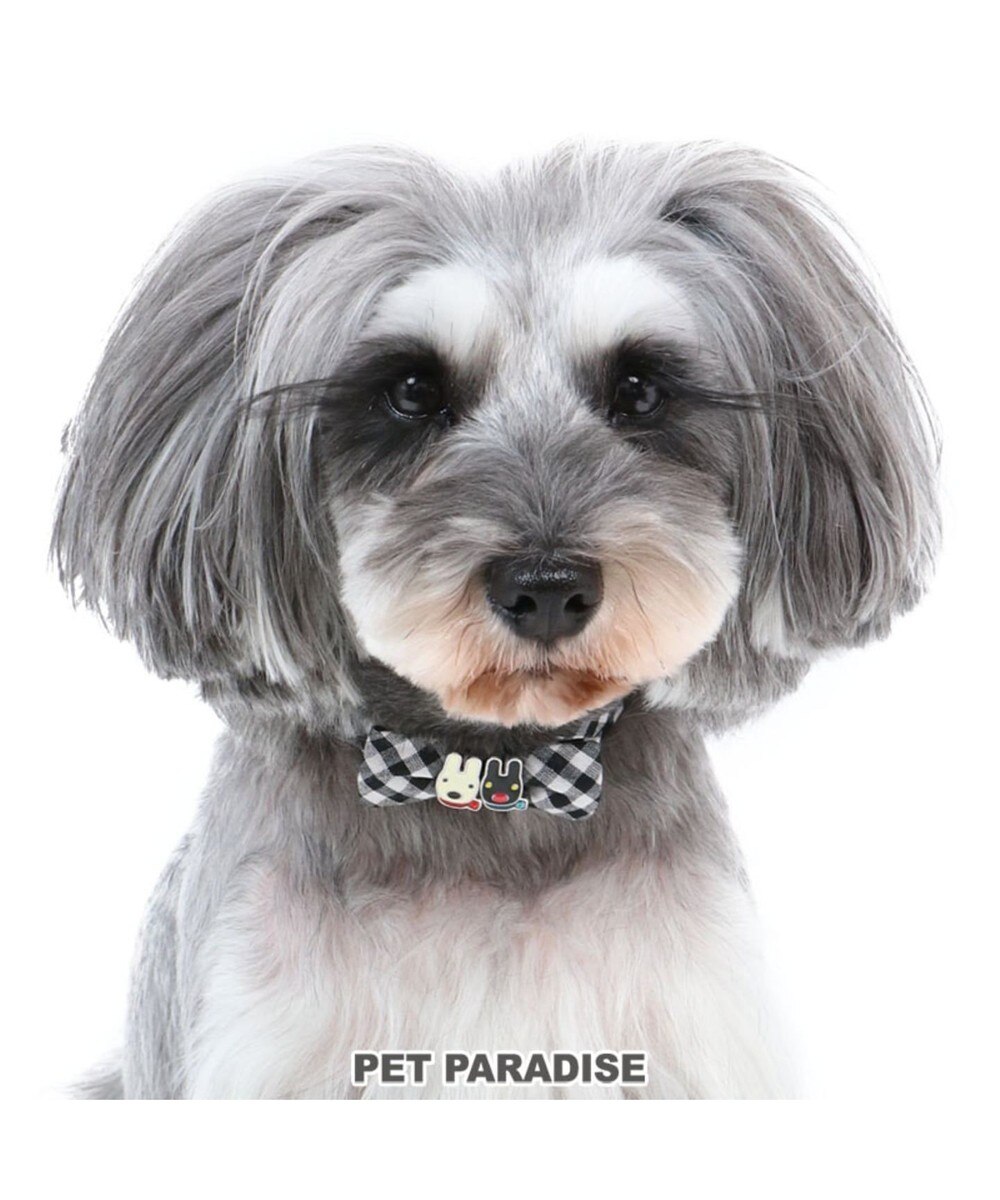 PET PARADISE>ペットグッズ リサとガスパール ギンガムチェック 首輪 ペット3S 〔小型犬〕 黒 ３Ｓの画像