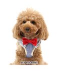 PET PARADISE ミッキーマウス アイコン柄 ベストハーネス 3S 〔超小型犬〕