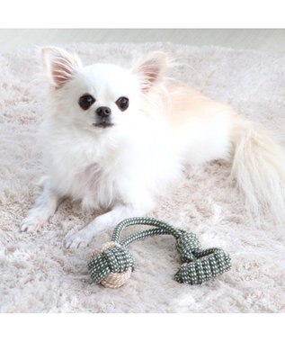 PET PARADISE ペットパラダイス スリング おもちゃ カーキ 愛犬用トイ TOY カーキ