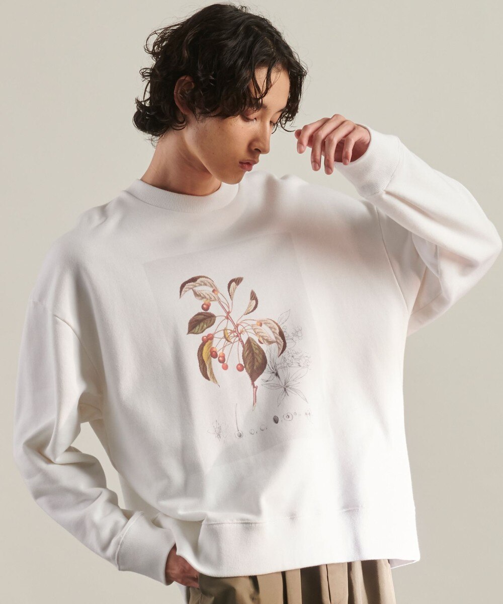 【オンワード】 JOSEPH STUDIO>トップス 【MEN・洗える】ライブラリープリントテリー スウェット ブラック M メンズ 【送料無料】