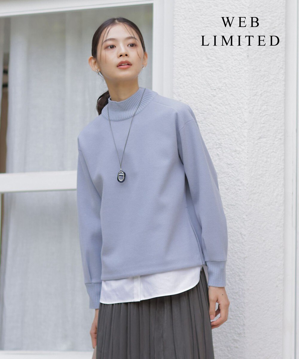 【オンワード】 J.PRESS LADIES L（大きいサイズ）>トップス 【WEB限定カラーあり】ニードルパンチ カットソー 【WEB限定】サックス T13 レディース