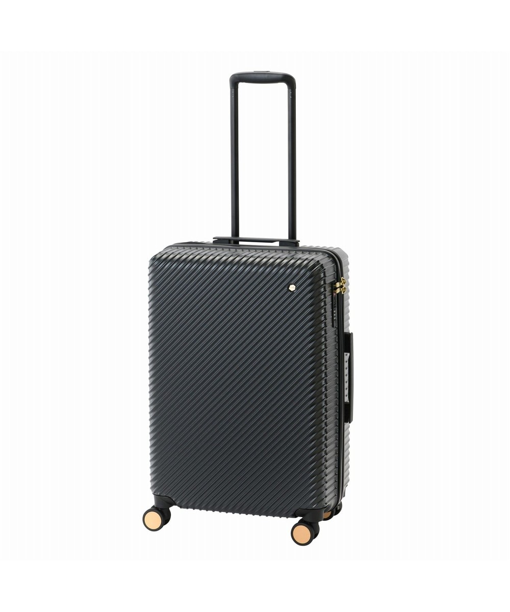 Diystyle スーツケースのハンドル 旅行の箱グリップ キャリーボックス補修用 スーツケース修理 交換代用品 取替え ネジ付き ブラック