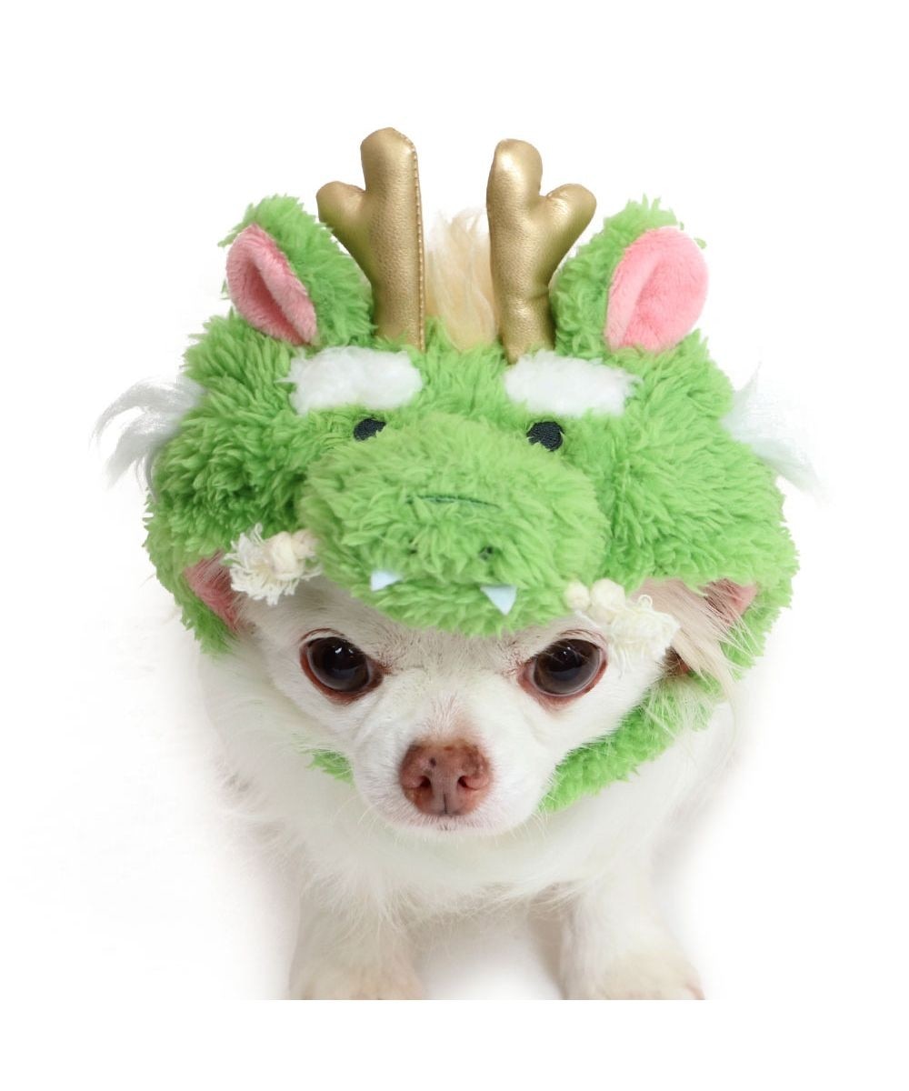 PET PARADISE>ペットグッズ ペットパラダイス 干支帽子 辰 《グリーン》 小型犬 グリーン ４Ｓ~３Ｓの画像