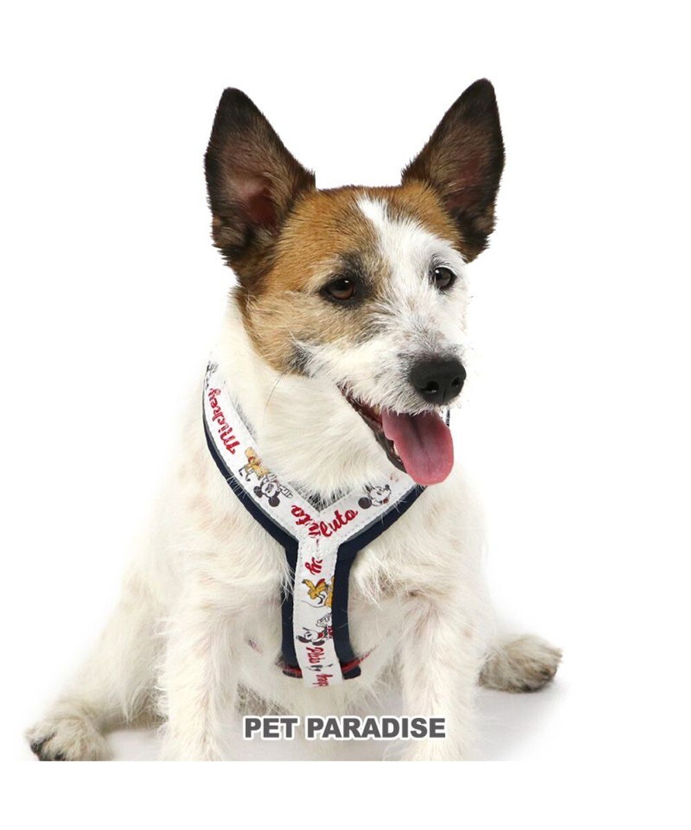 PET PARADISE>ペットグッズ ディズニー アクティブハーネス 【３Ｓ】 小型犬 紺（ネイビー・インディゴ） ３Ｓ
