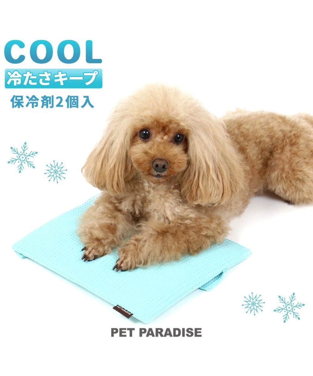 PET PARADISE>ペットグッズ ペットパラダイス ペットキャリー カート用 コンパクトクーラー (25×22cm) 水色 -