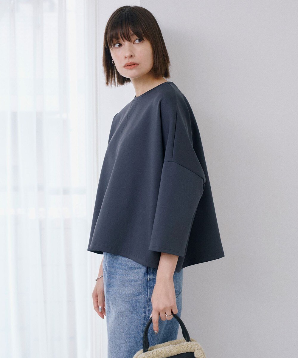 【オンワード】 ICB L(大きいサイズ)>トップス 【洗える】 エアーダンボール プルオーバー スレートブルー L レディース 【オンワード】 ICB L(大きいサイズ)>トップス 【洗える】 エアーダンボール プルオーバー スレートブルー L レディース