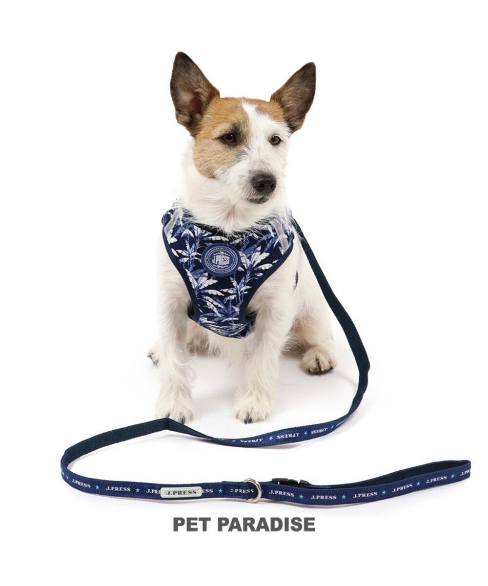 PET PARADISE>ペットグッズ 犬 ハーネス リード J.PRESS ハーネス＆リード 〔Ｓ〕 リーブス 小型犬 紺（ネイビー・インディゴ） Ｓ 【送料無料】