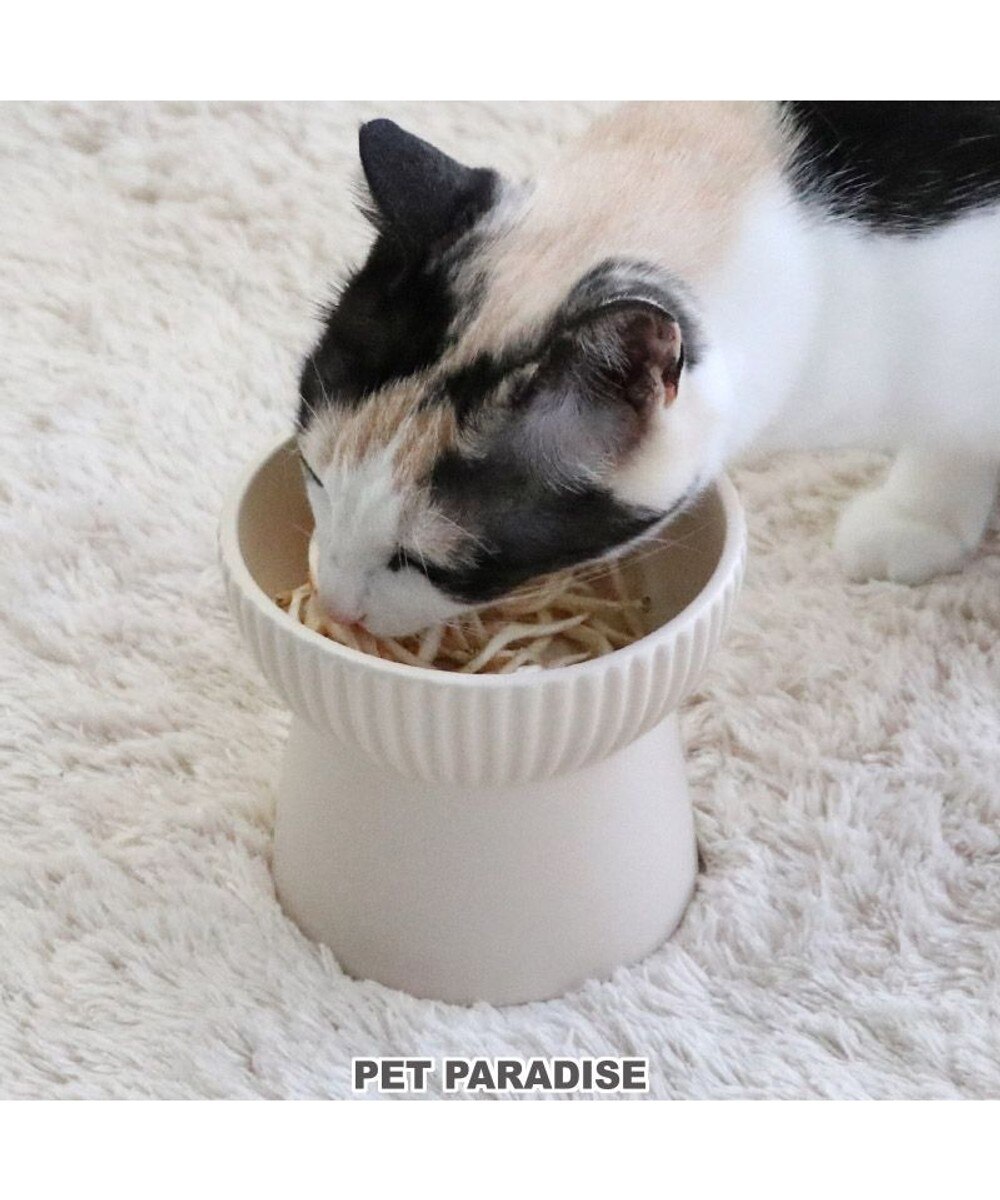 PET PARADISE>ペットグッズ 猫 フードボウル 陶器 斜め ホワイト ベージュ ベージュ 未登録の大画像