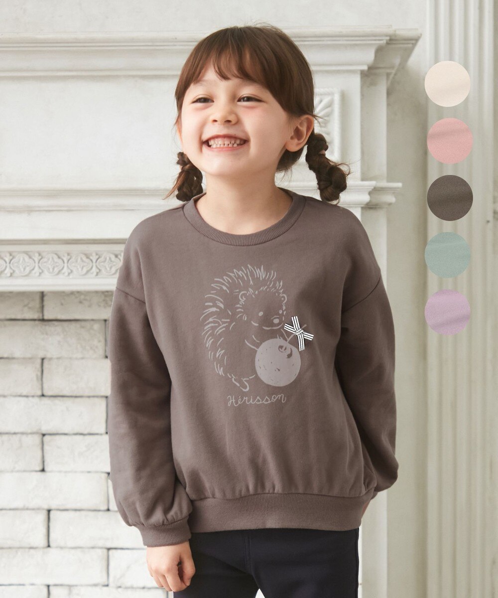 ハリネズミ ベビーの人気商品 通販 価格比較 価格 Com ハリネズミ ベビーの人気商品 通販 価格比較 価格 Com