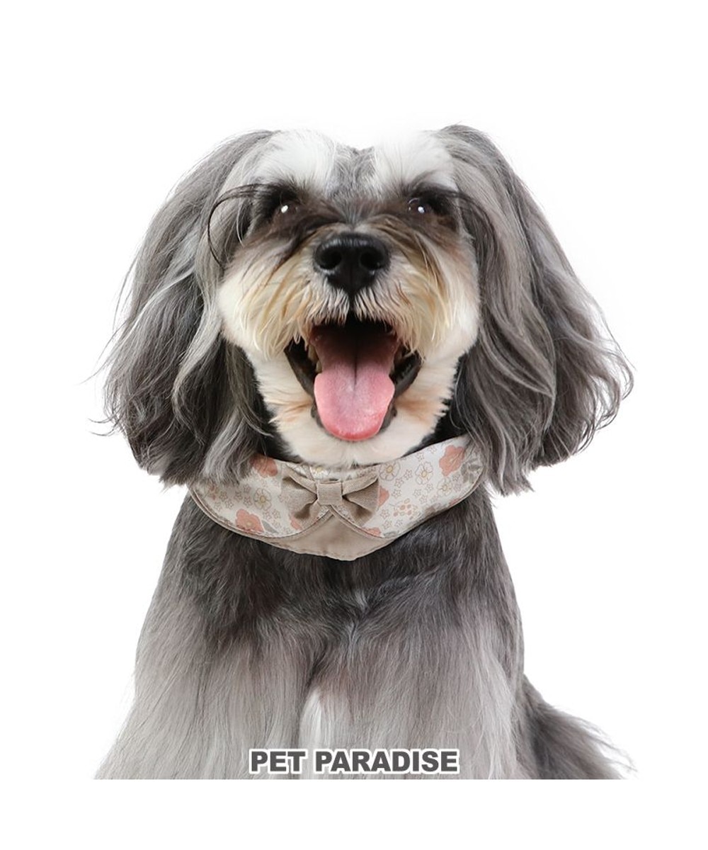 PET PARADISE>ペットグッズ 花柄 襟付首輪 小型犬 茶 ３Ｓの大画像