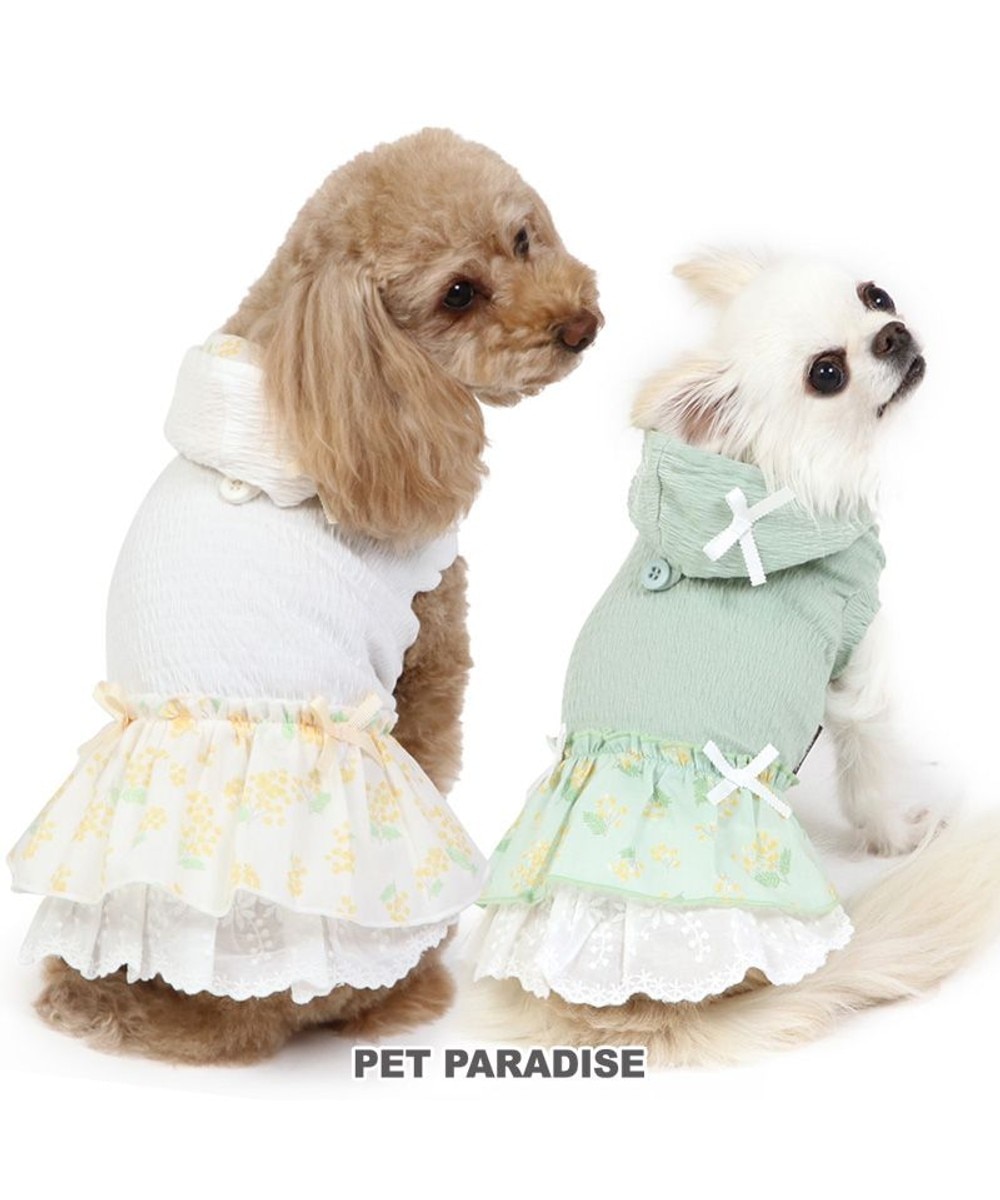 PET PARADISE>ペットグッズ 犬の服 犬 ワンピース 【小型犬】 ミモザ ホワイト グリーン グリーン ３Ｓ
