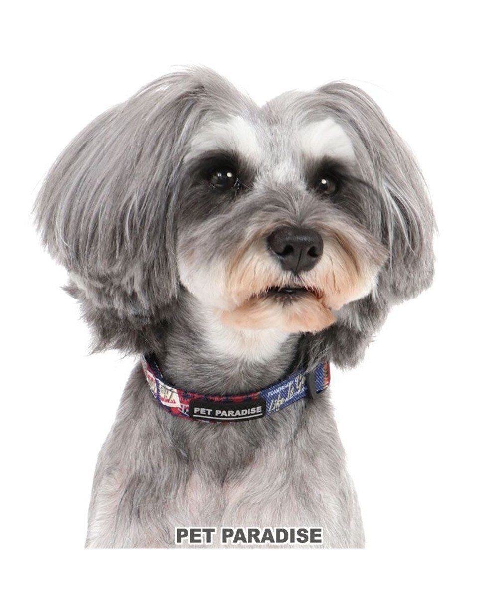 PET PARADISE>ペットグッズ 犬 首輪 【３Ｓ】 ペットパラダイス ロゴ マルチカラー ３Ｓ