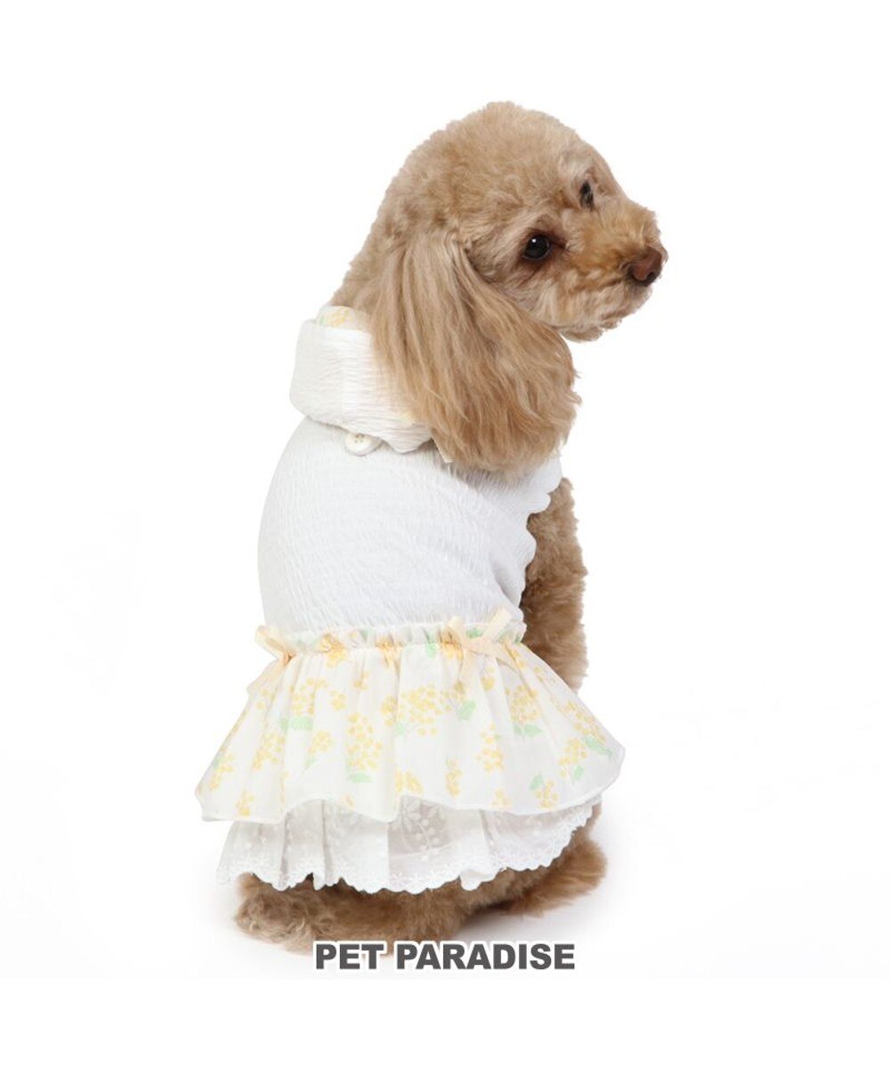 【オンワード】 PET PARADISE>ペットグッズ 犬の服 犬 ワンピース 【小型犬】 ミモザ ホワイト グリーン ホワイト ＳＳ