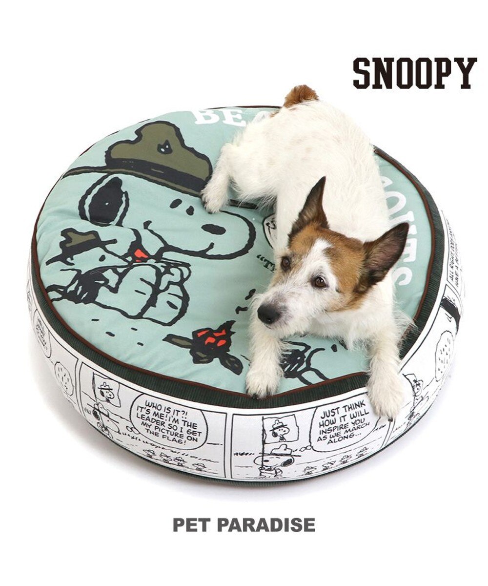 PET PARADISE>ペットグッズ スヌーピー クッション (60cm) ビーグルスカウト柄 50周年 ビーグルスカウト - 【送料無料】