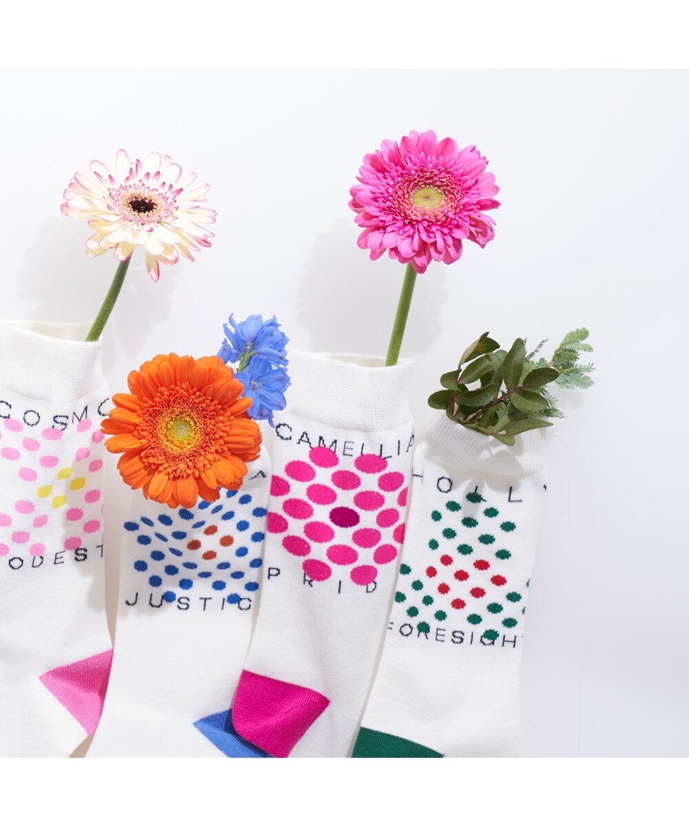 スニーカー 靴下 レディースの人気商品 通販 価格比較 価格 Com スニーカー 靴下 レディースの人気商品 通販 価格比較 価格 Com