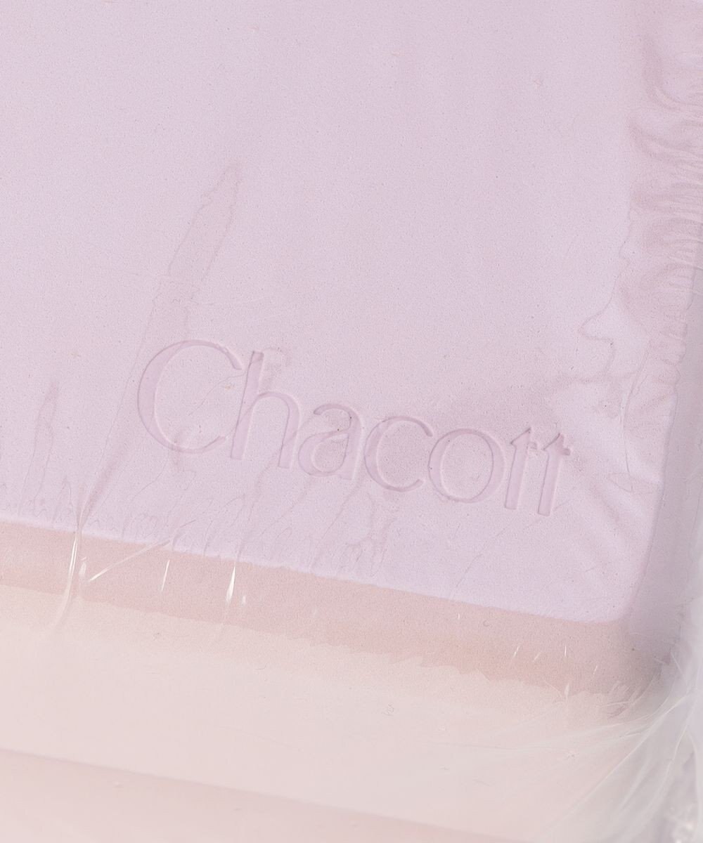Chacott レッスンブロック 