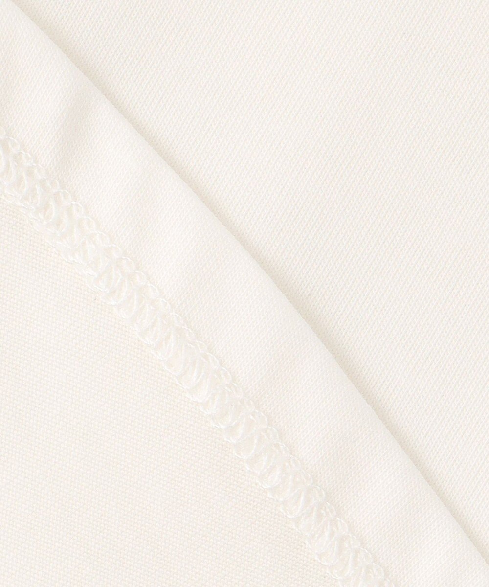 J.PRESS LADIES L シアーボーダーツイン カットソー 