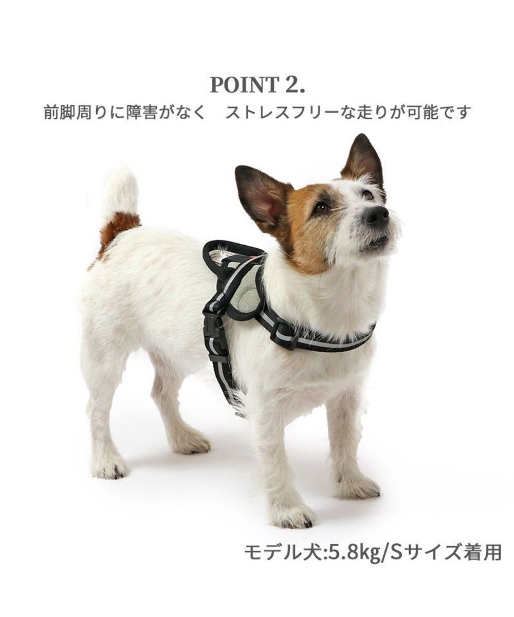 PET PARADISE ヘッドインハーネス 【Ｓ】 オレンジ / ブルー【  小型犬】 