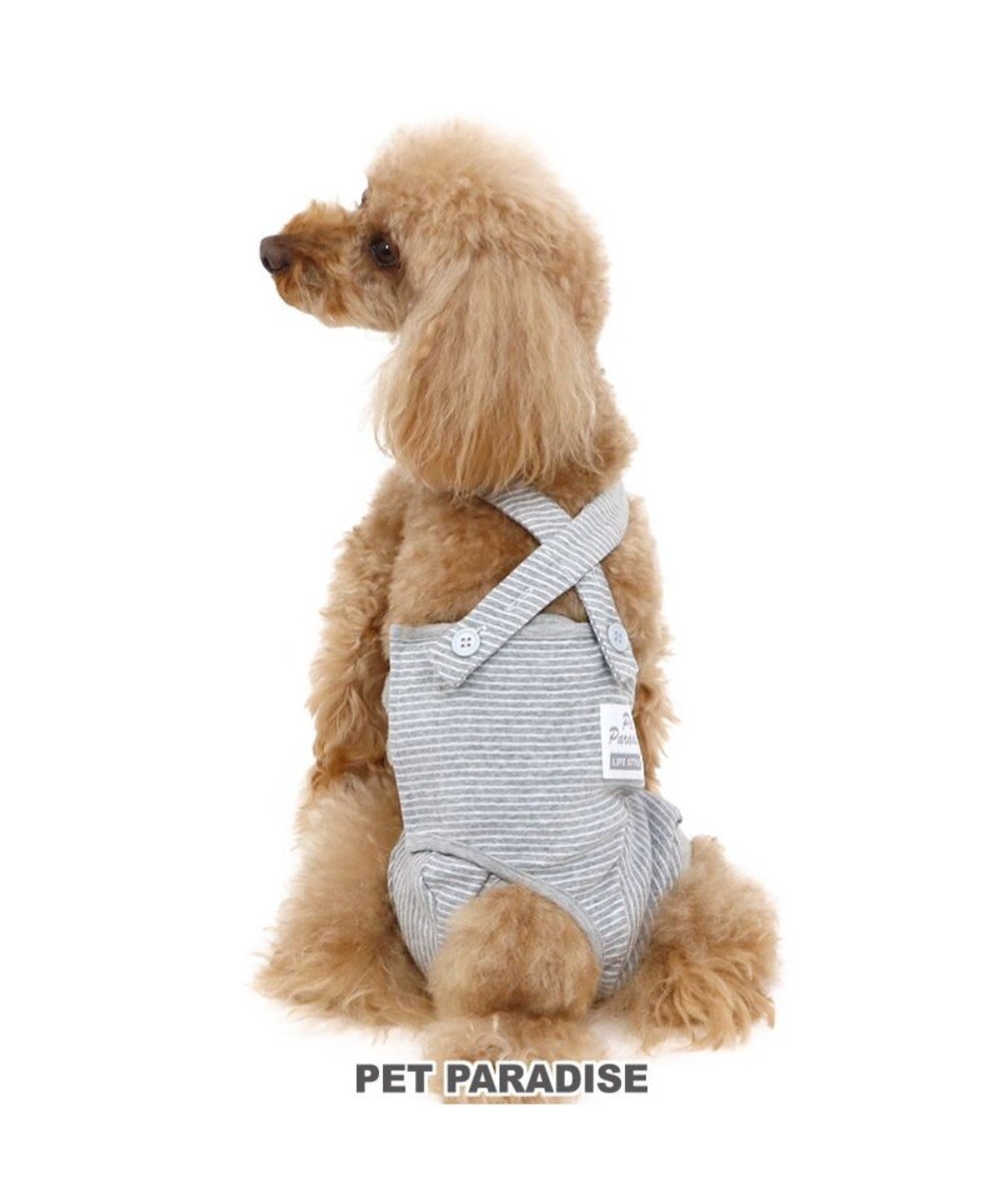 犬 服 夏服 マナーオール グレー 小型犬 オムツ おむつ 術後服 サニタリー マナーベルト マナーパンツ Pet Paradise ファッション通販 公式通販 オンワード クローゼット 犬 服 夏服 マナーオール グレー 小型犬 オムツ おむつ 術後服 サニタリー マナーベルト マナーパンツ Pet Paradise ファッション通販 公式通販 オンワード クローゼット