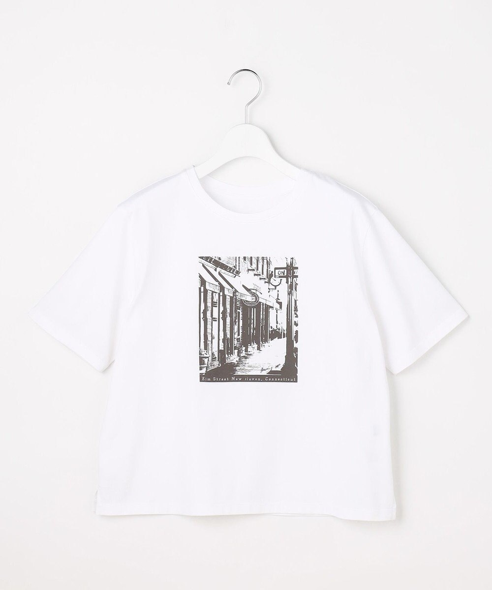 J.PRESS LADIES プリント Ｔシャツ 