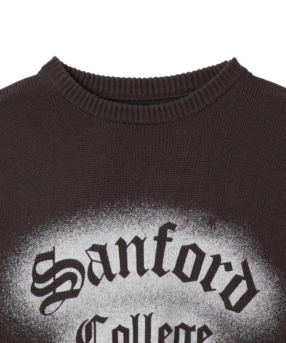 WEGO グラフィックニットBIGプルオーバー 