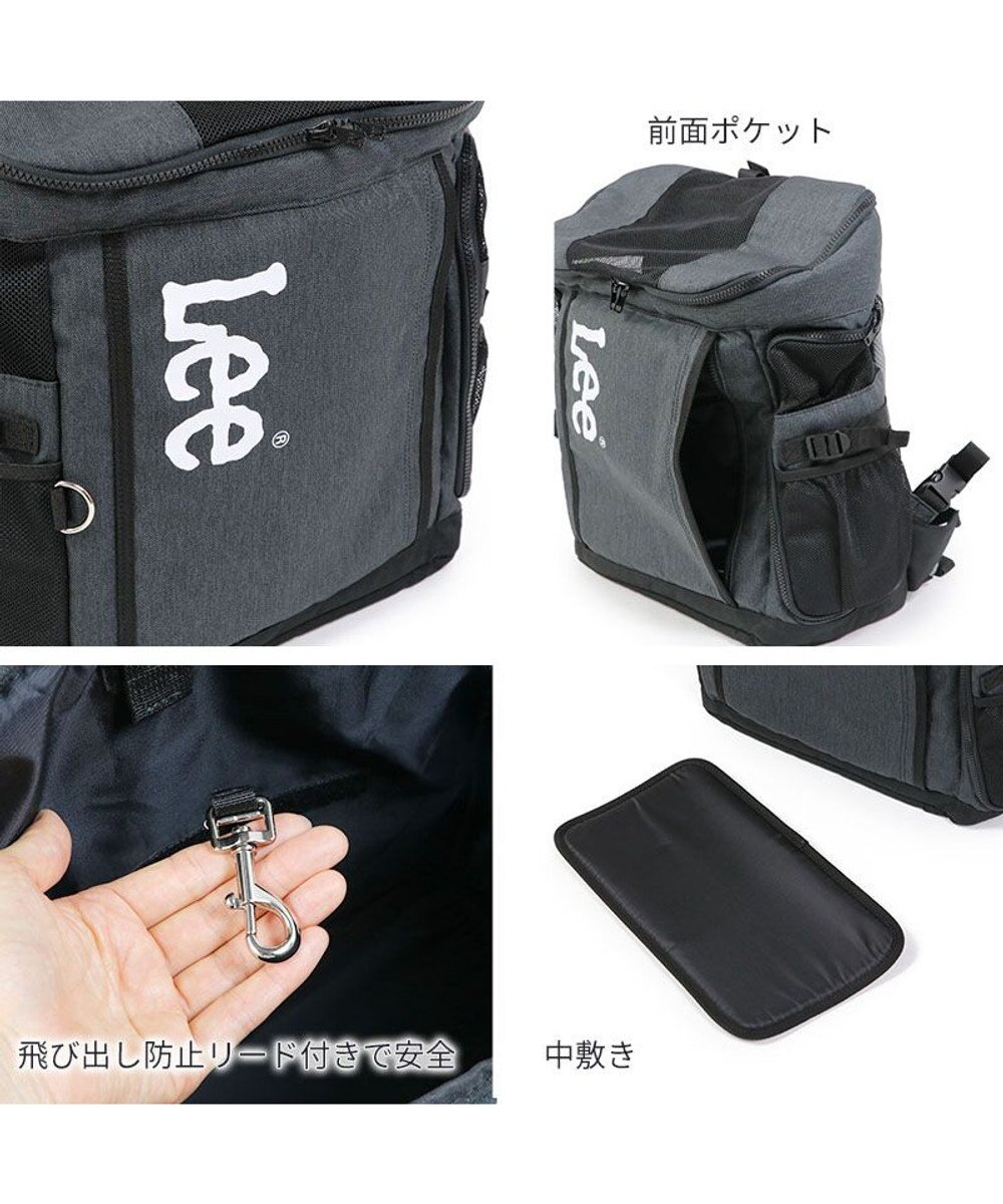 PET PARADISE Lee スクエアリュック キャリーバッグ 《ブラック》 小型犬 
