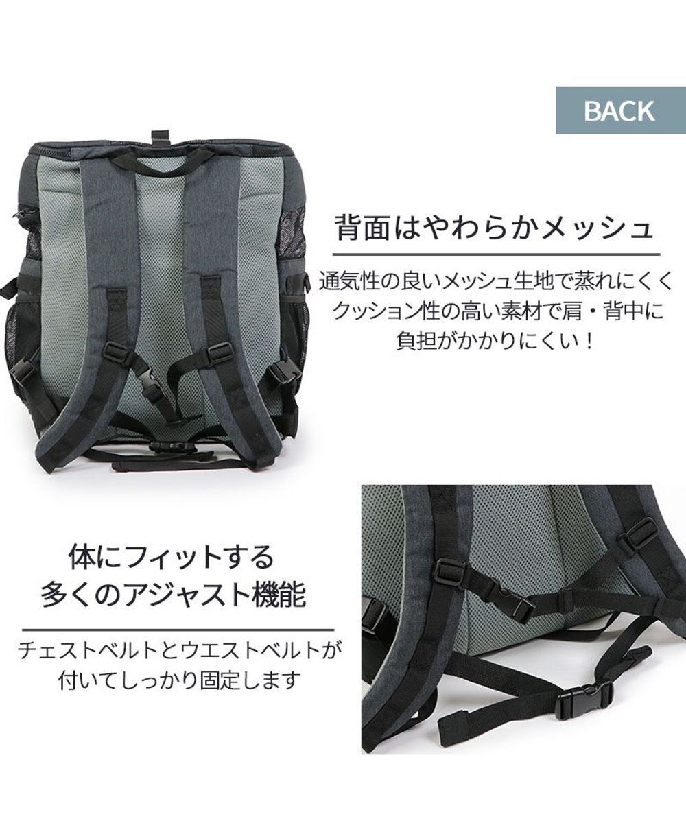 PET PARADISE Lee スクエアリュック キャリーバッグ 《ブラック》 小型犬 