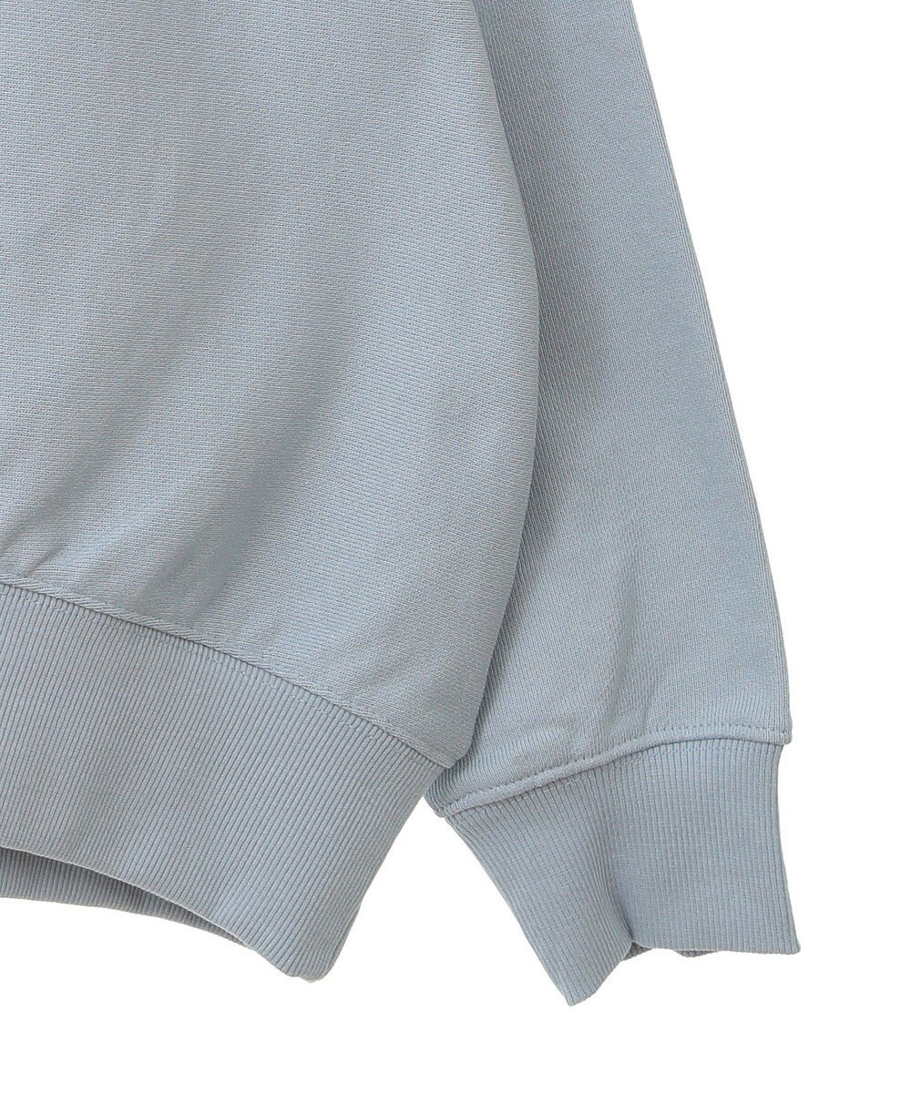 AMERICAN HOLIC ＳＴ．ＰＡＵＬロゴスウェット 