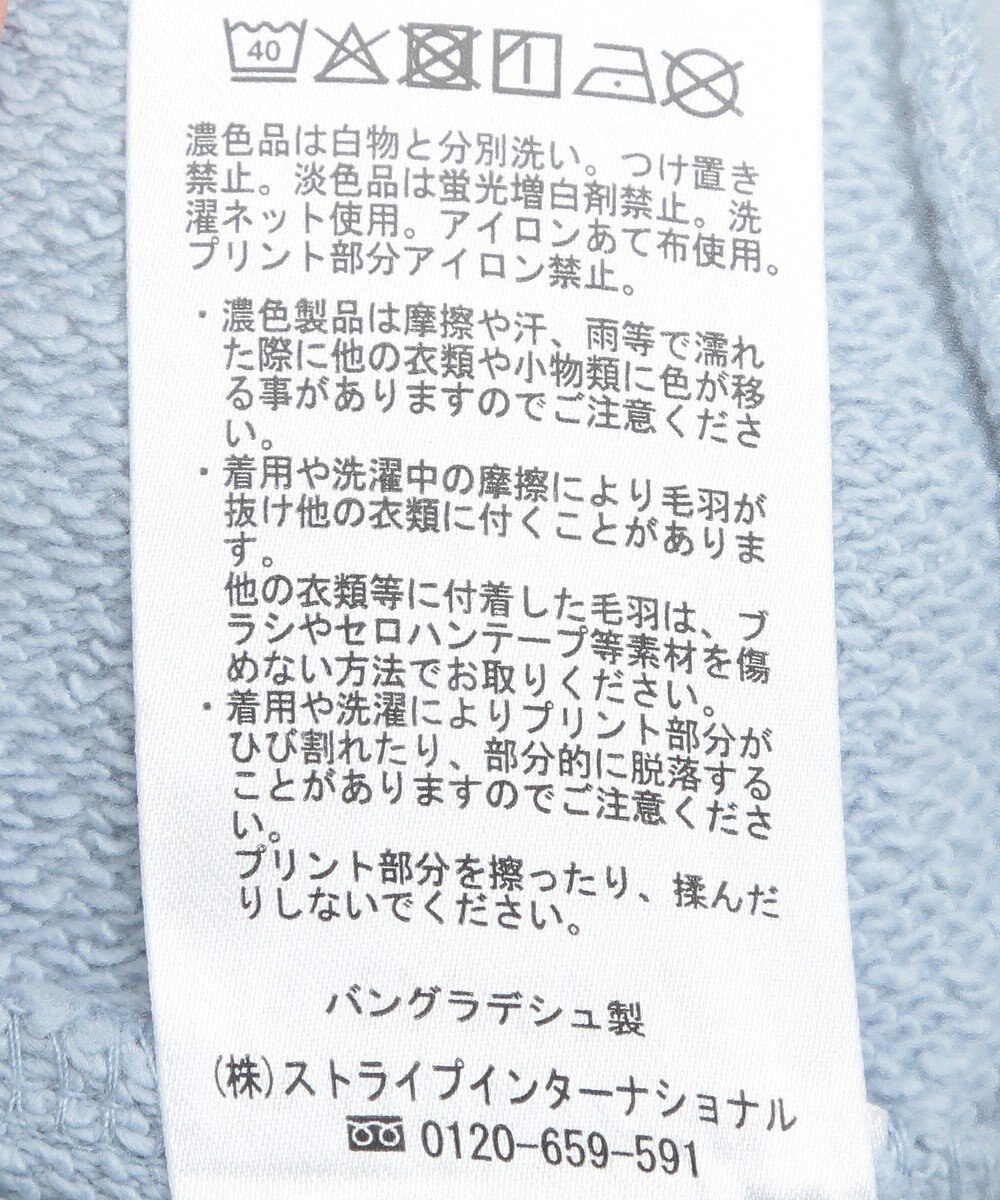 AMERICAN HOLIC ＳＴ．ＰＡＵＬロゴスウェット 