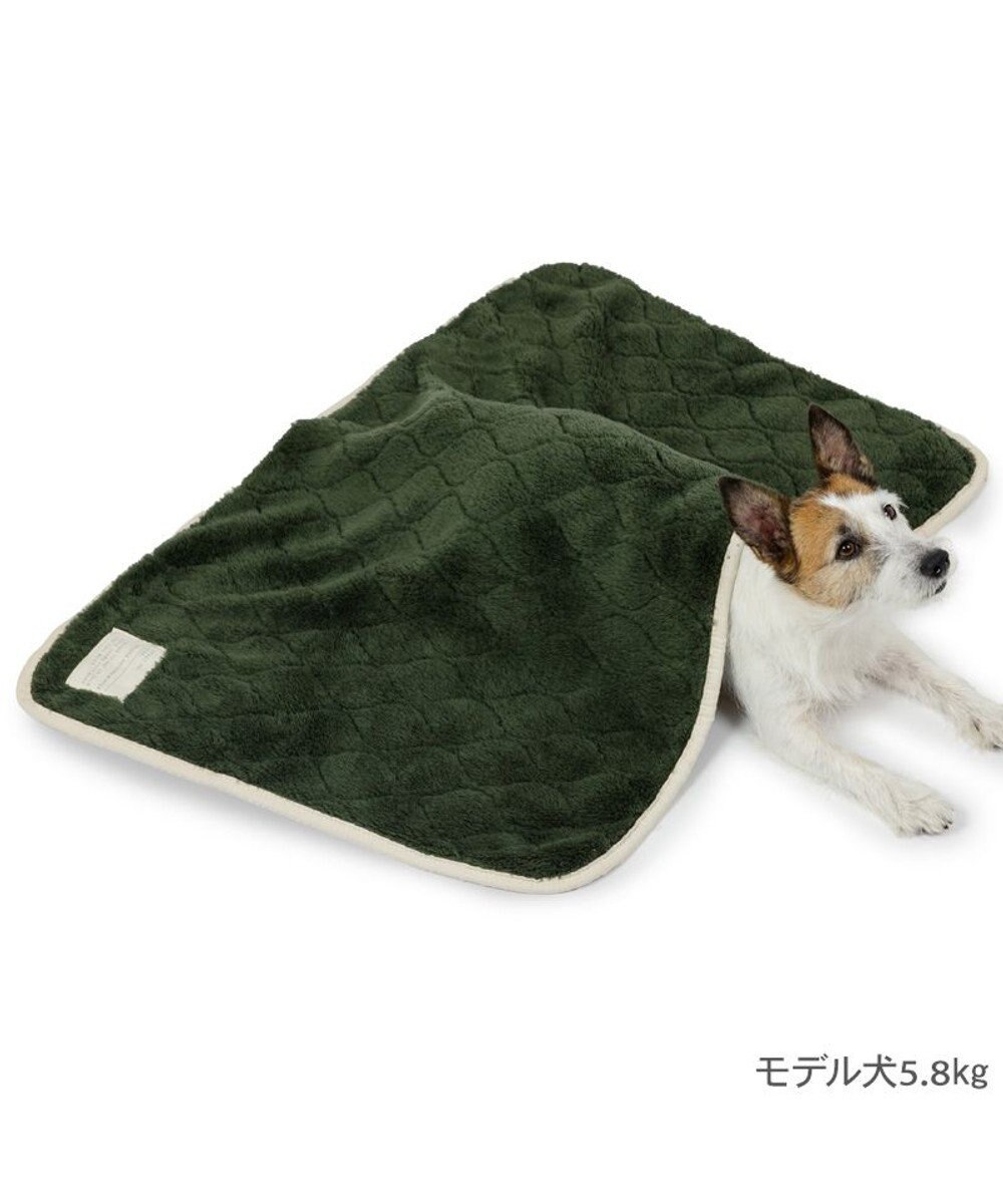 PET PARADISE ペットパラダイス ブランケット 《オニオン柄》 