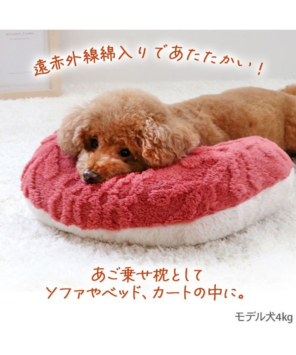 PET PARADISE ペットパラダイス 遠赤外線 アランボア ピロー 