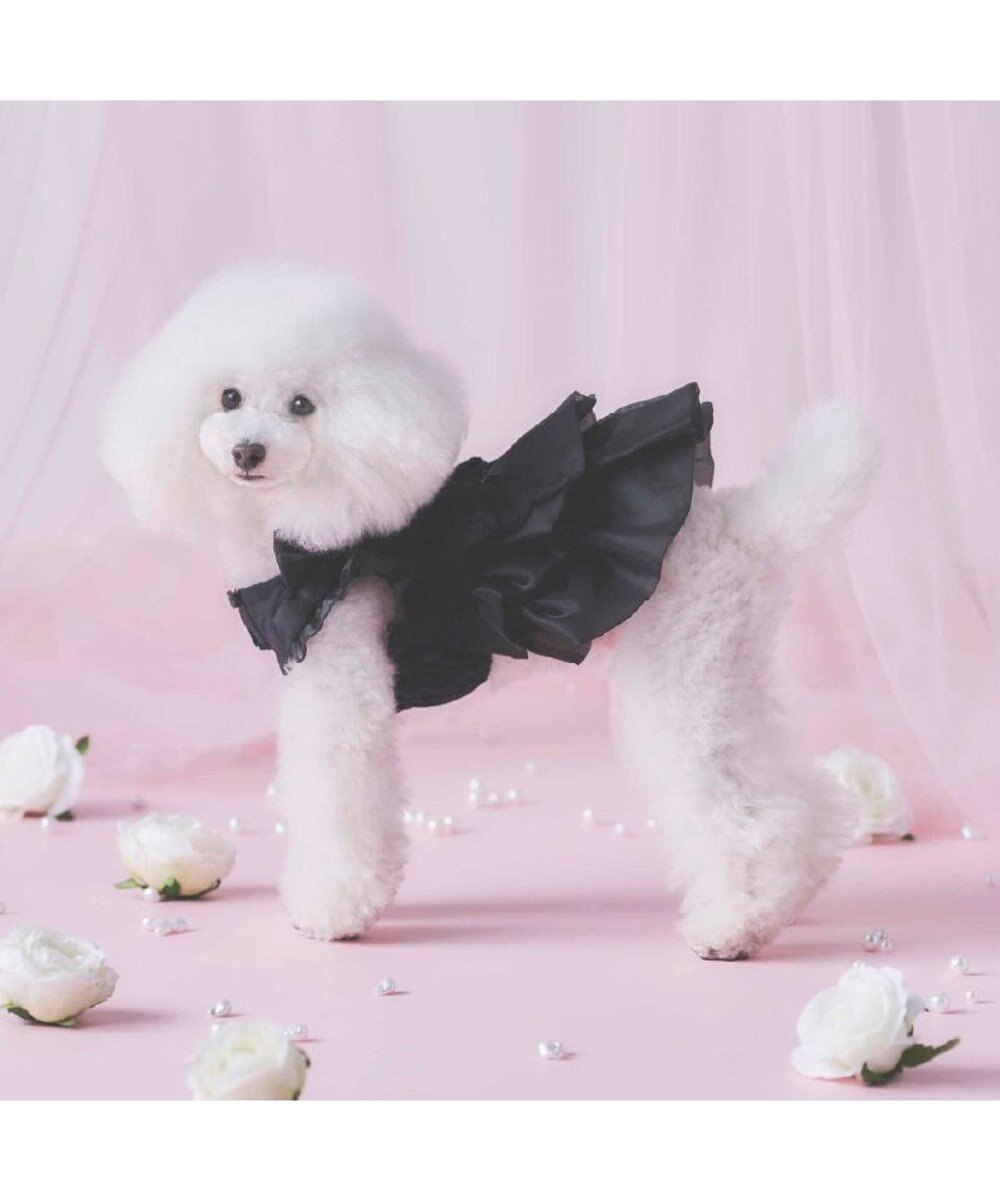 PET PARADISE cherircouture 接触冷感リボンワンピース 《ブラック》 小型犬 