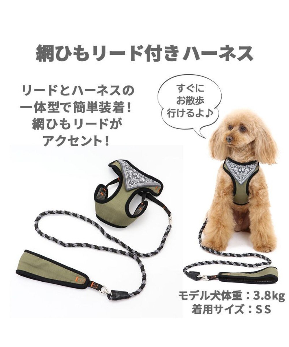 超 小型 犬 オファー リード おすすめ