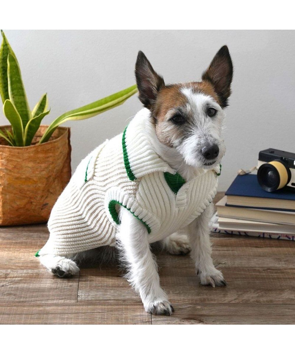 PET PARADISE ペットパラダイス スキッパーニット 小型犬 