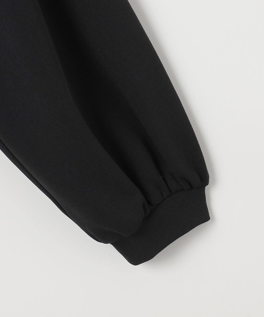 ANY SIS L 【WEB・一部店舗限定】ペプラムチュールコンビ セット 