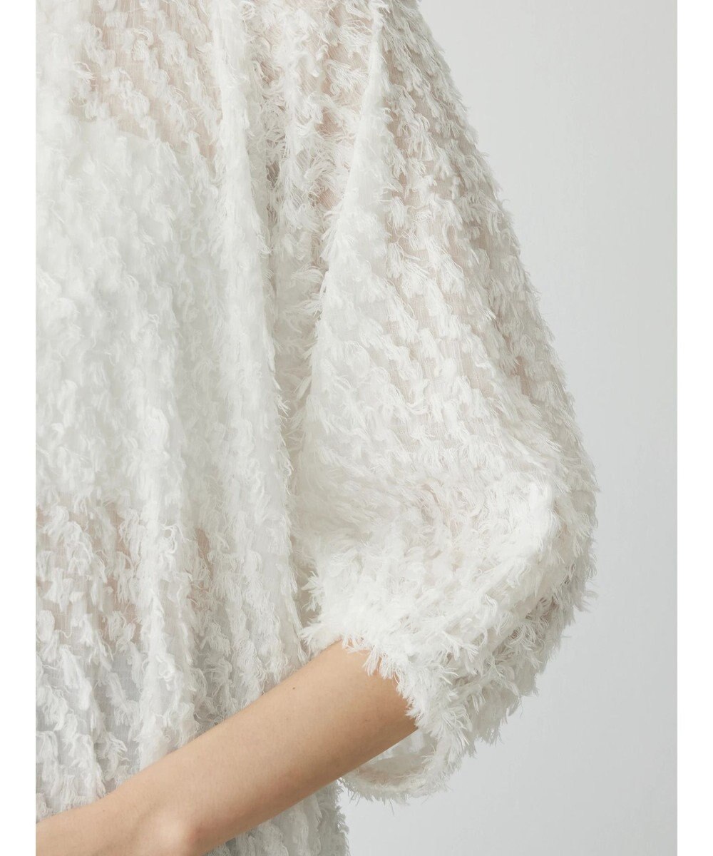 Green Parks AnriettMusee カットジャガードタックブラウス 