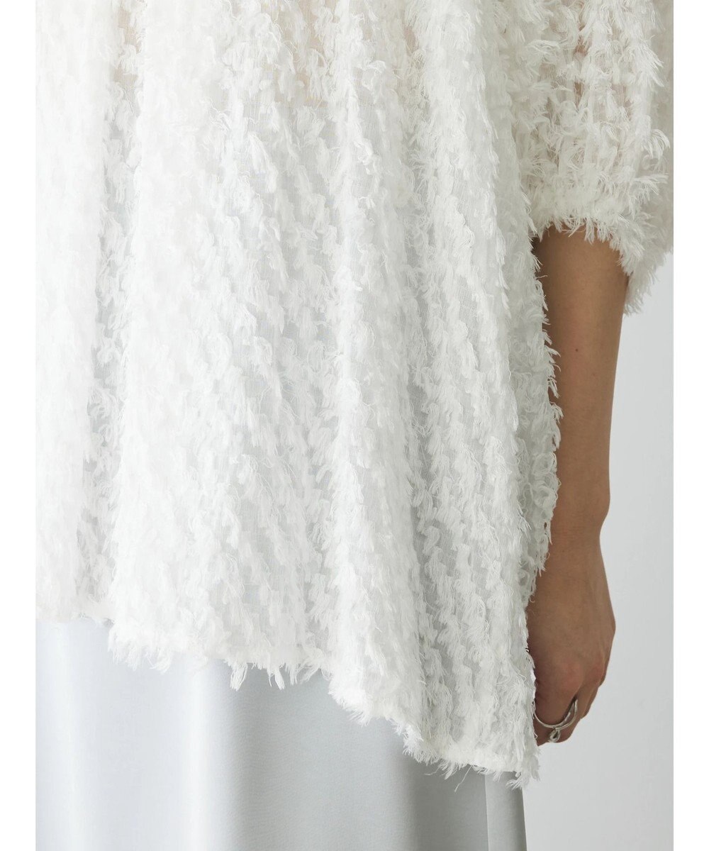 Green Parks AnriettMusee カットジャガードタックブラウス 