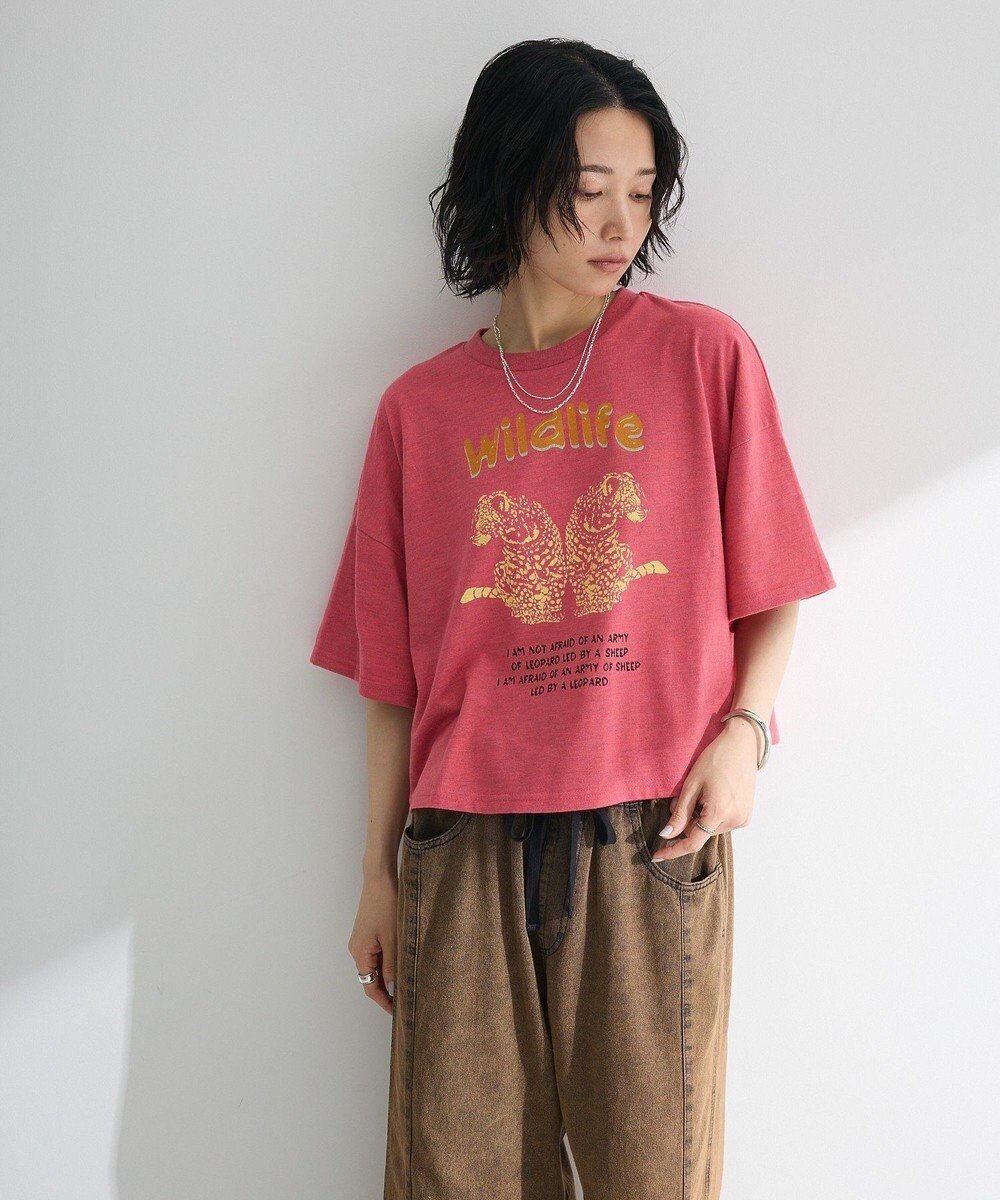 Green Parks ・ＤＯＵＢＬＥ　ＦＬＡＧＳ　レオパードプリントＴＥＥ 