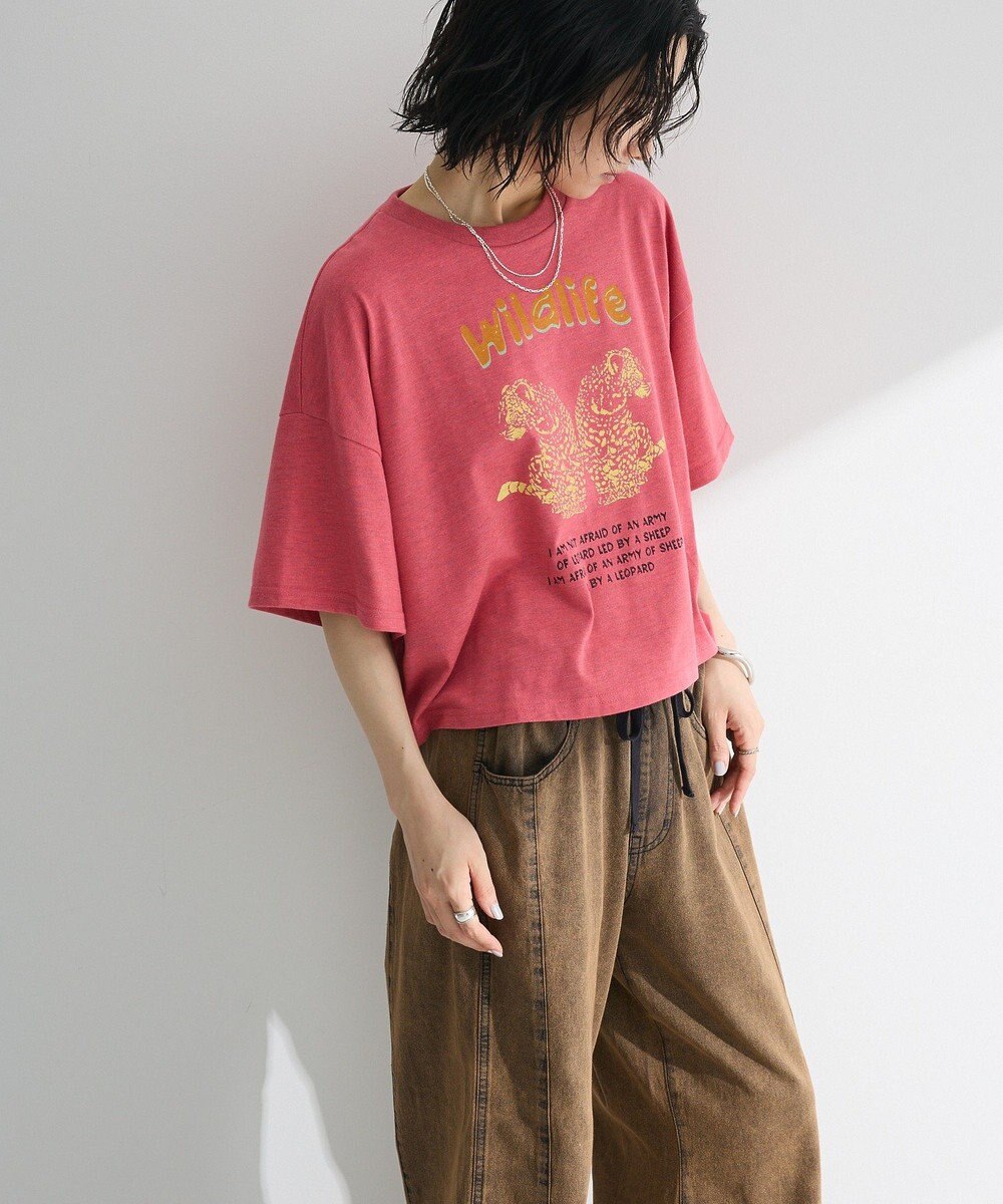 Green Parks ・ＤＯＵＢＬＥ　ＦＬＡＧＳ　レオパードプリントＴＥＥ 