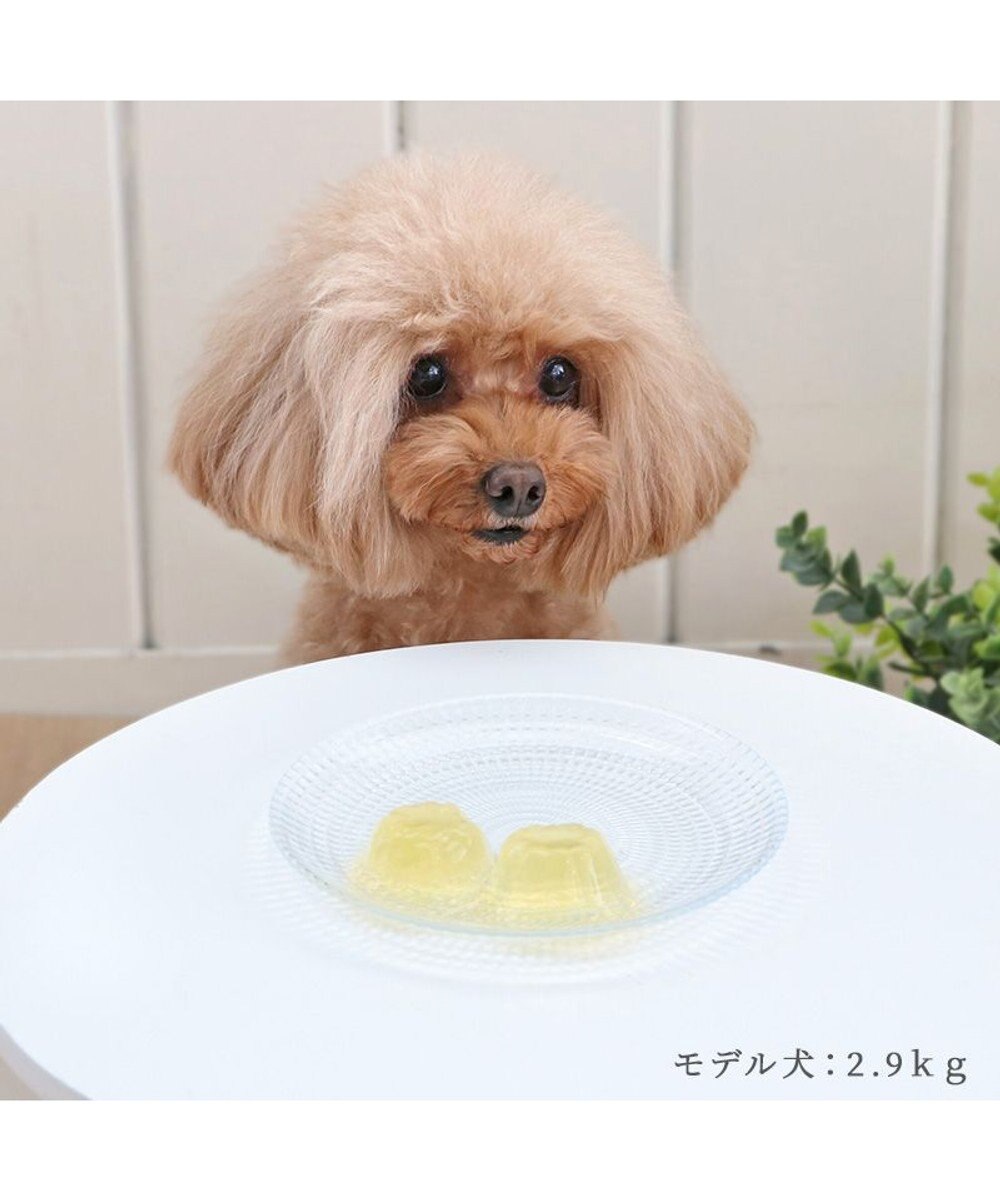 PET PARADISE 【賞味期限が12/29のため 半額】りんごゼリー 10個入り 国産 