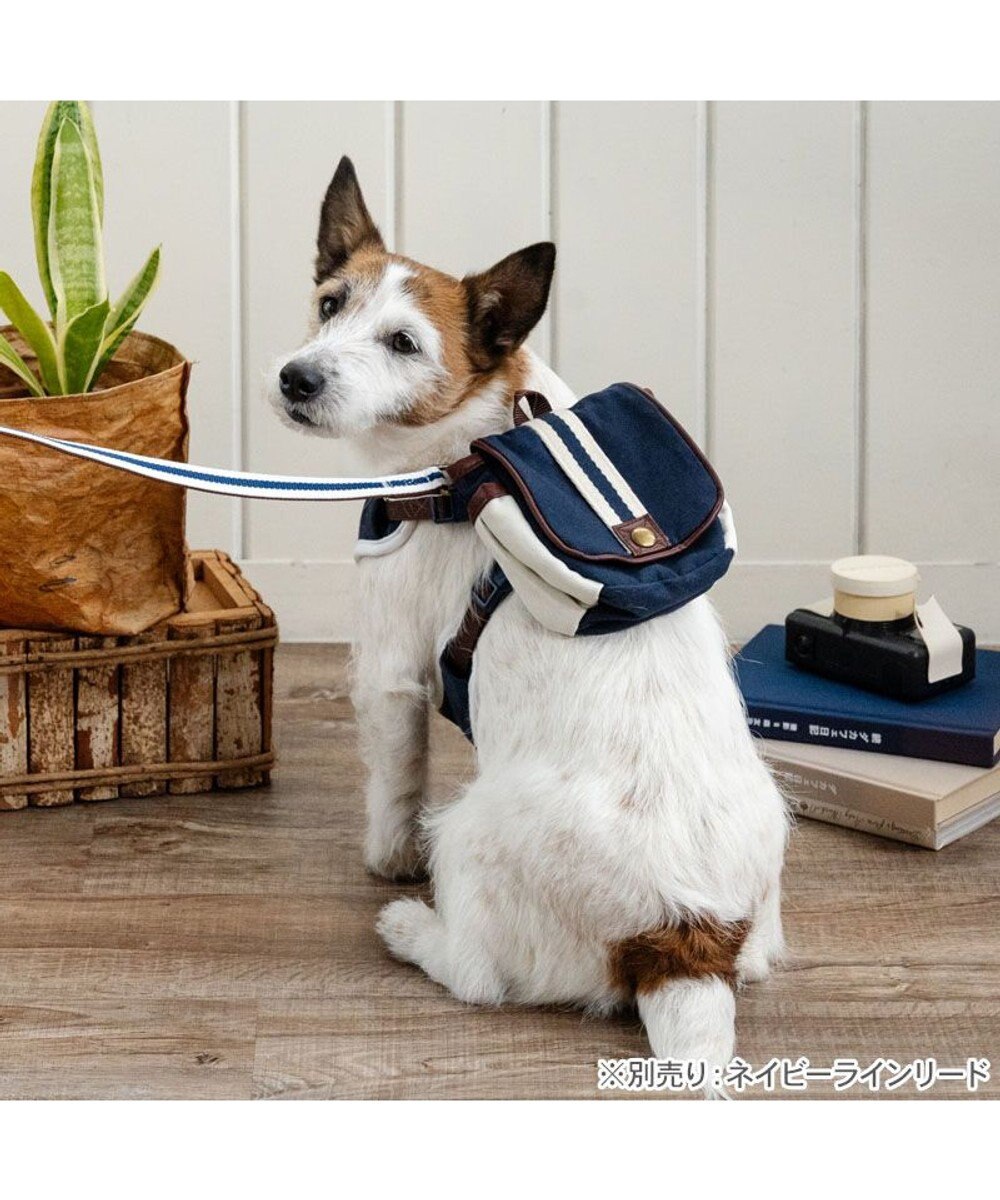 PET PARADISE ペットパラダイス ライン入りリュック付き ハーネス ３Ｓ 小型犬 