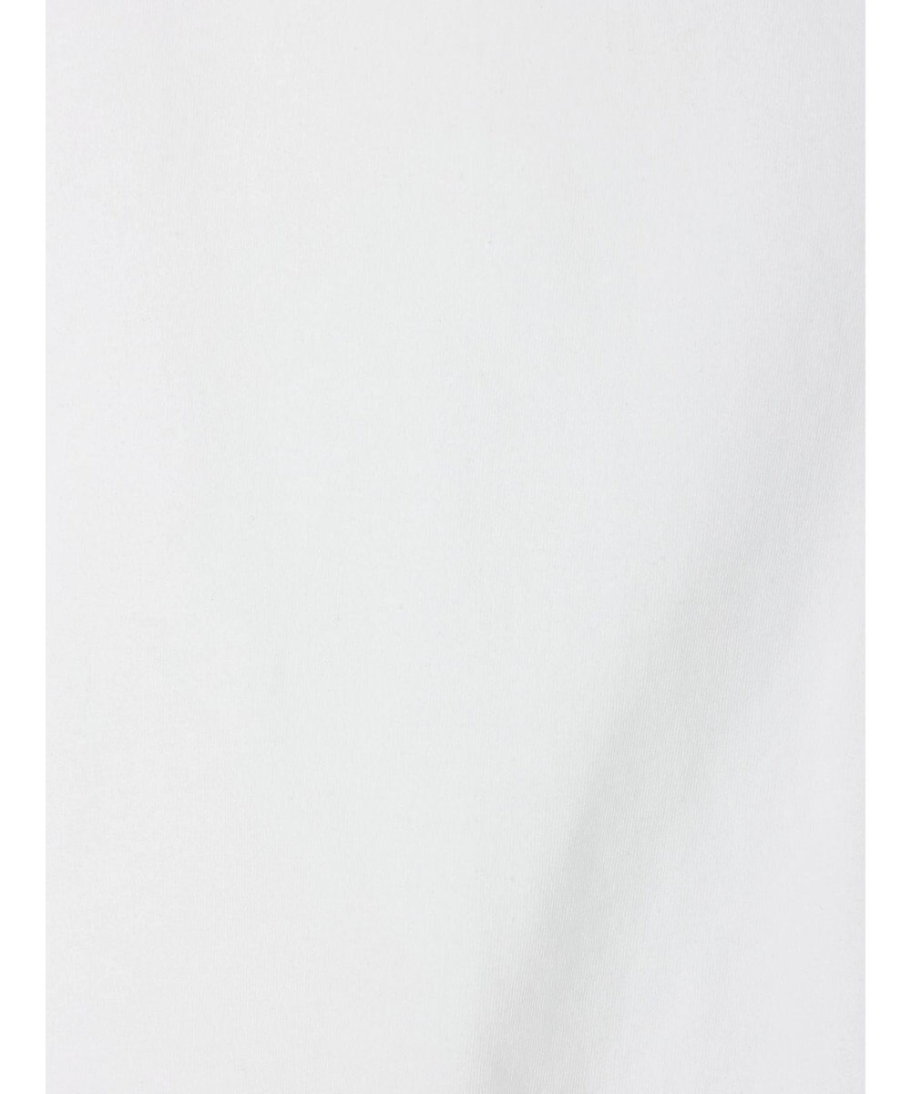 Green Parks ■ＪＵＲＡＳＳＩＣ　ＰＡＲＫ　ロゴｐｔラグランＴ 