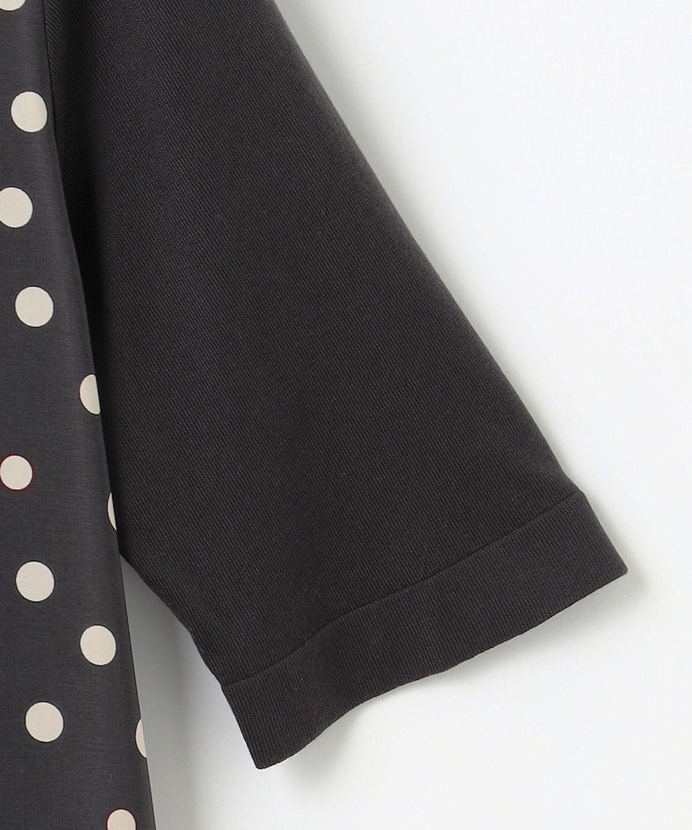 自由区 【アンサンブル対応・洗える】ポルカドットプリント プルオーバー 