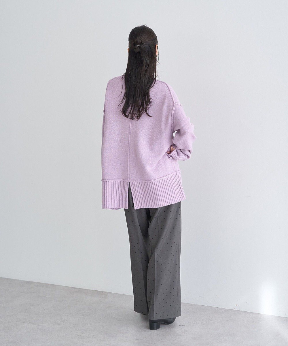 earth music&ecology 【毛玉防止 / 洗濯機洗い可】アンチピリングモックネックバックスリットニット 