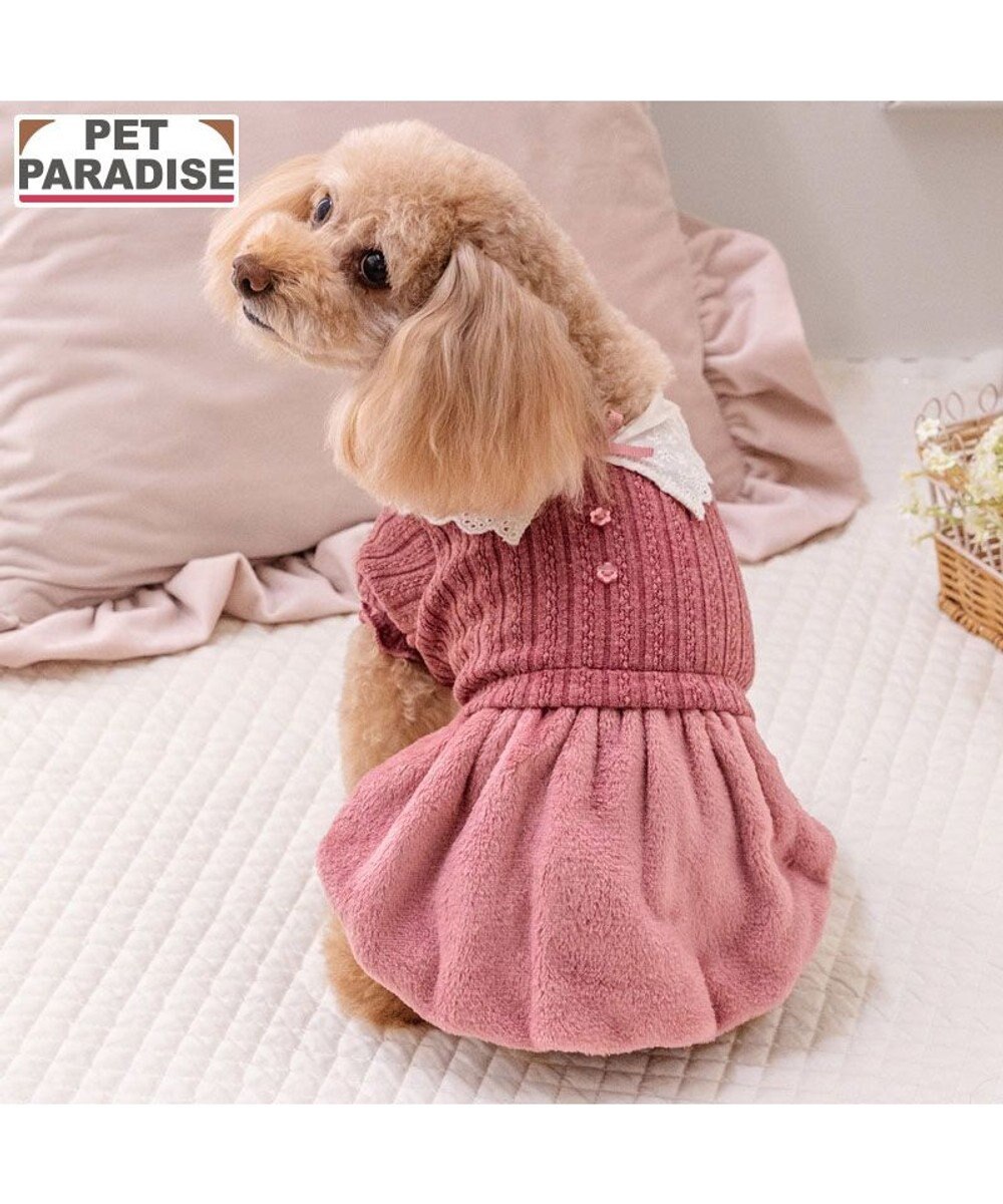 PET PARADISE ペットパラダイス レース襟 ワンピース 小型犬 