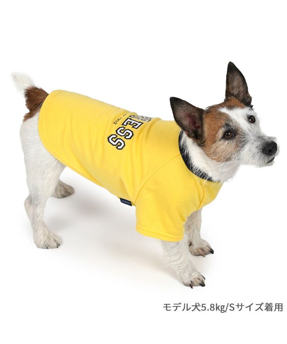 PET PARADISE J.PRESS カレッジ Ｔシャツ 小型犬 